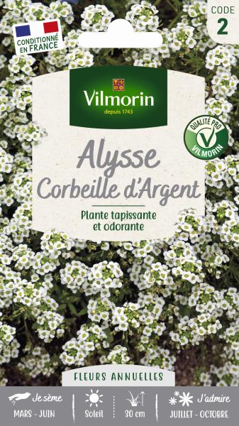 Fleurs - Alysse Corbeille d'Argent - PACKAGING_RECTO